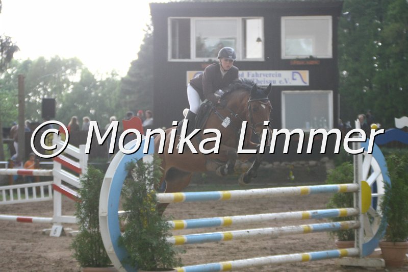 104M6987_Companion_Stil L.JPG